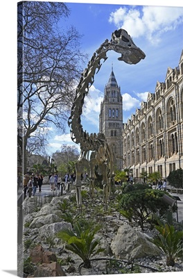 Natural History Museum, London