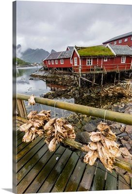 Norwegian cod fishing town of Reine, Lofoton Islands, Norway, Scandinavia