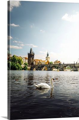 Old Town Pier Architecture And Charles Bridge Over Vltava River, Prague, Czech Republic