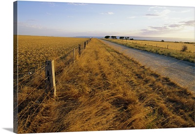 Outback road, Cape Jervis, South Australia, Australia