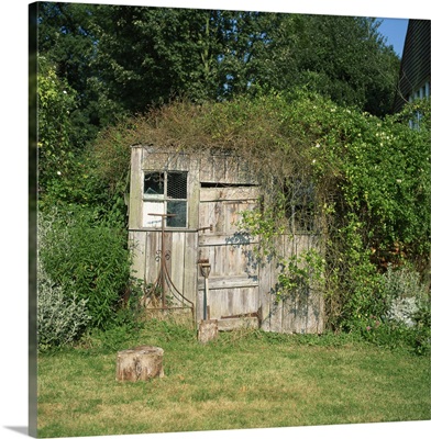Overgrown garden shed