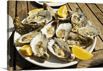 Oysters ready to eat, Ile de Re, Charente-Maritime, France