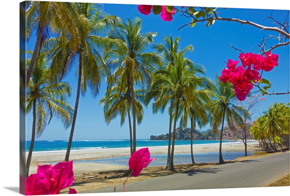 Palm fringed white sand Playa Carrillo, Carrillo, Nicoya Peninsula, Costa Rica