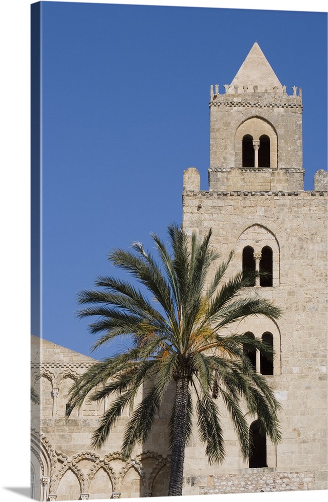 Palm tree, Cathedral, Piazza Duomo, Cefalu, Sicily, Italy, Europe