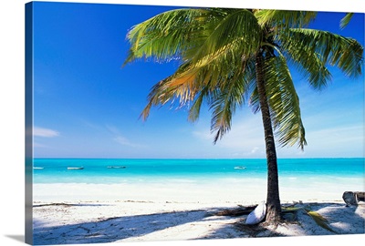 Palm tree, white sandy beach and Indian Ocean, island of Zanzibar, Tanzania, Africa