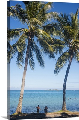 Palm trees, Anse Vata beach, Noumea, New Caledonia