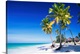 image thumbnail of Palm trees, white sandy beach and Indian Ocean, Jambiani, Zanzibar, Tanzania, Africa