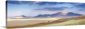 Panoramic view over the landscape of the Namib Rand game reserve, Namibia, Africa image thumbnail