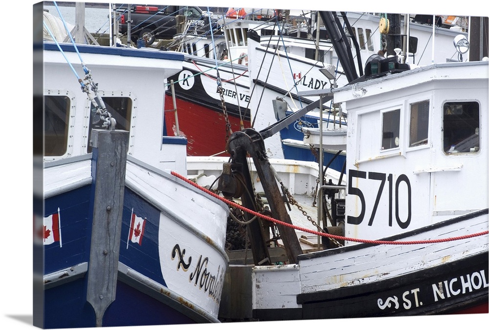 Part of the scallop fishing fleet, Digby, Nova Scotia, Canada