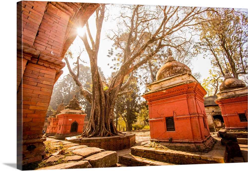 Pashupati Temple tombs, Kathmandu, Nepal