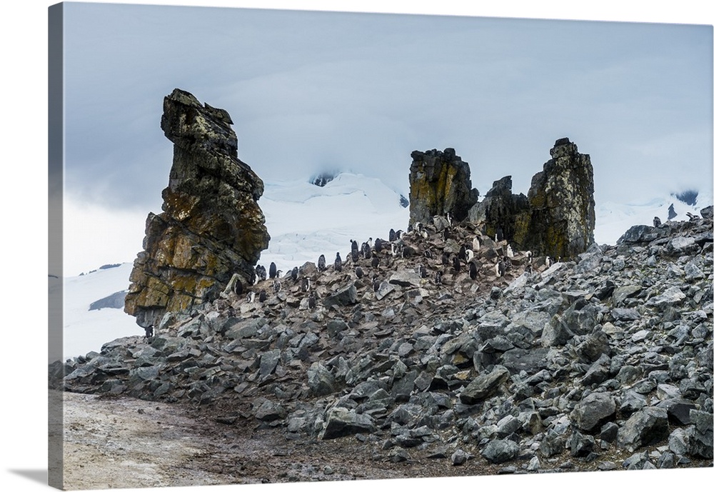 Penguins below dramatic rock formations, Half Moon Bay, South Sheltand Islands, Antarctica, Polar Regions