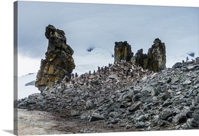 Penguins below dramatic rock formations, Half Moon Bay, Antarctica