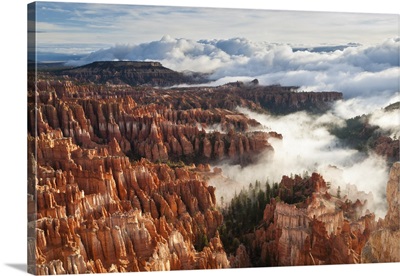 Pinnacles And Hoodoos With Fog Extending Into Clouds, Bryce Canyon National Park, Utah