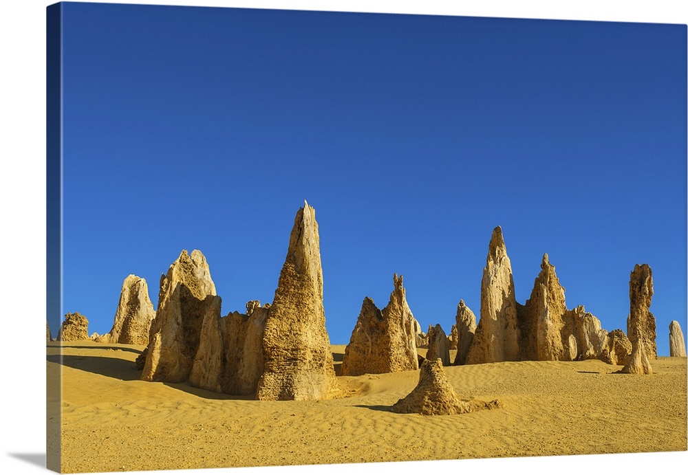 Pinnacles, rare limestone formations, dated around 30000 years old, Nambung National Park, Western Australia, Australia, P...