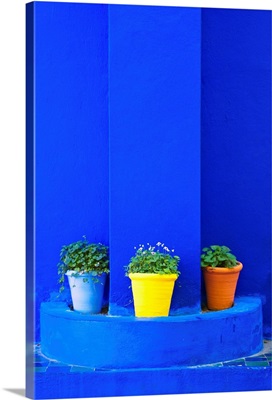 Potted plants and bright blue paintwork, Marrakech, Morocco, Africa