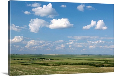 Prairie farmland, North Dakota, United States of America, North America