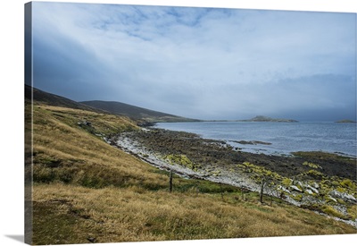 Pretty bay in Carcass Island, Falkland Islands