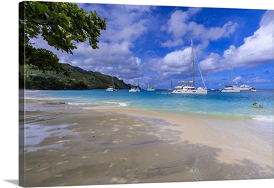 Princess Margaret Beach, Port Elizabeth, Windward Islands, West Indies, Central America