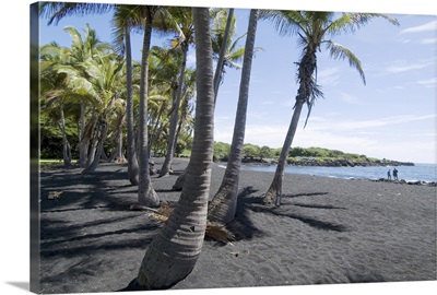 Punaluu Black Sand Beach, Island of Hawaii, Hawaii