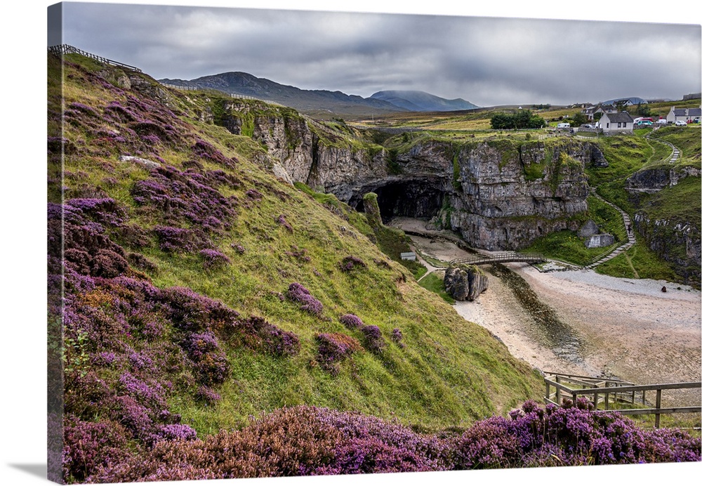 Purple heather on the cliffs above Smoo Cave near Durness which has one of the largest sea cave entrances in Britain, Durn...