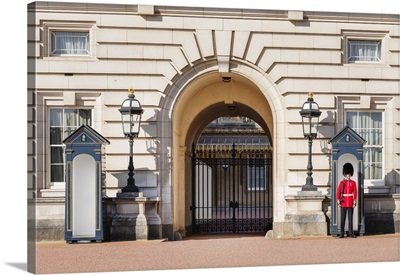 Queen's Guard At Buckingham Palace, City Of Westminster, London, England