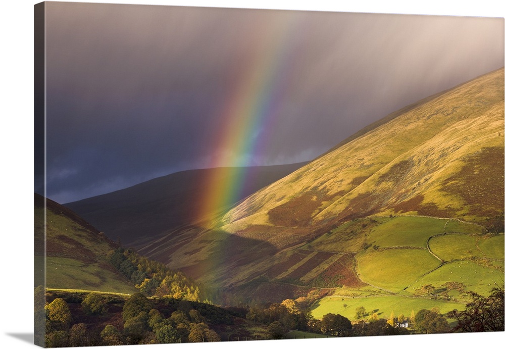 Rainbow on the foothills of Blencathra on a showery autumn afternoon, Lake District National Park, Cumbria, England, Unite...