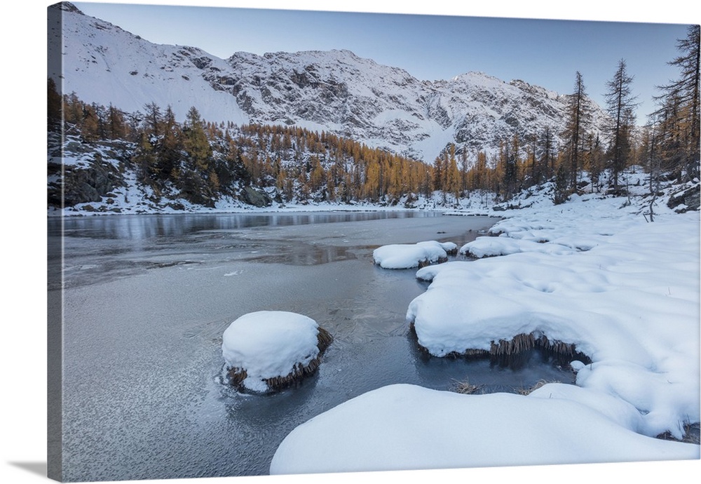 Red larches frame the frozen Lake Mufule, Malenco Valley, Province of Sondrio, Valtellina, Lombardy, Italy