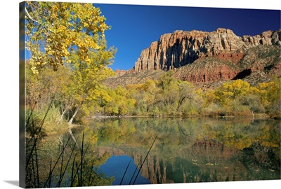 Reflections of trees in fall colours and the cliffs of Zion, in a lake, Utah