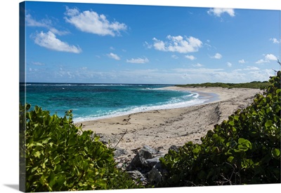 Remote white sand beach in Barbuda, Antigua and Barbuda