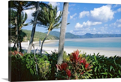 Resort beach, Hayman Island, Whitsundays, Queensland, Australia, Pacific