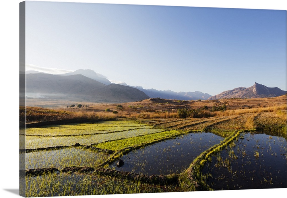 Rice cultivation, Tsaranoro Valley, Ambalavao, central area, Madagascar, Africa