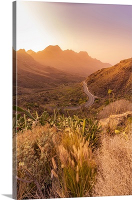 Road And Flora In Mountainous Landscape During Golden Hour, Canary Islands, Spain