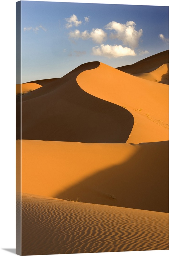 Rolling orange sand dunes and sand ripples, Erg Chebbi sand sea, Morocco