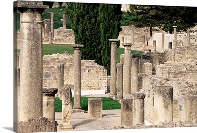 Roman ruins, Vaison la Romaine, Vaucluse, Provence, France, Europe
