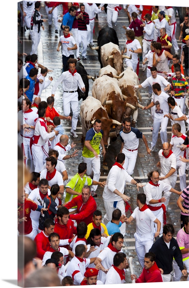 Running of the bulls, San Fermin festival, Pamplona, Navarra (Navarre), Spain, Europe
