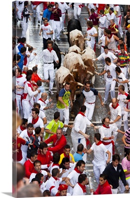 Running Of The Bulls, San Fermin Festival, Pamplona, Navarra (Navarre), Spain