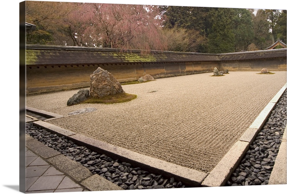 Ryoanji temple, dry stone garden and blossom, Kyoto city, Honshu island, Japan