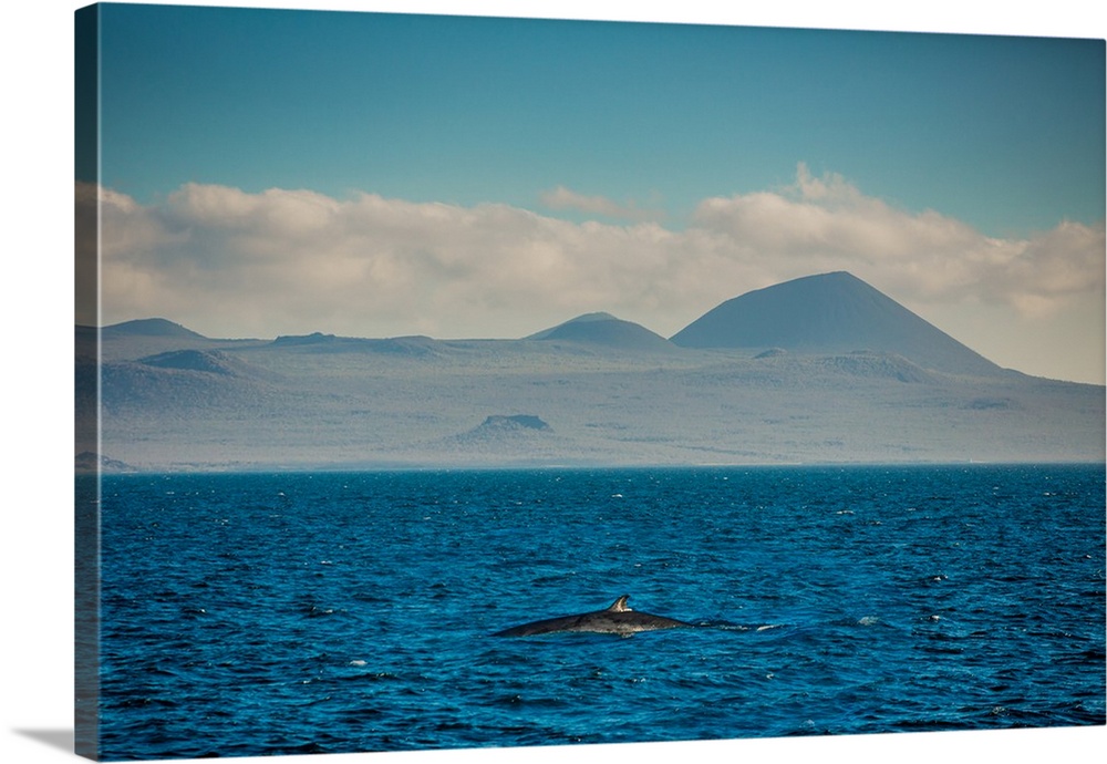 Sailing the Galapagos Islands, Ecuador, South America