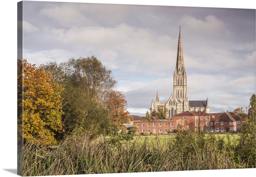 Salisbury Cathedral from the West Harnham Water Meadows, Salisbury, Wiltshire, England, United Kingdom, Europe