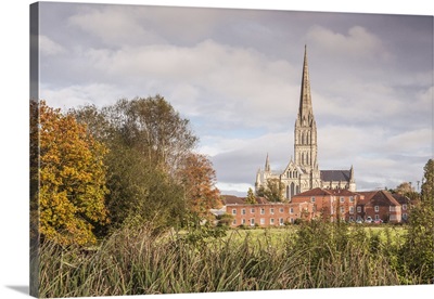 Salisbury Cathedral from the West Harnham Water Meadows, Salisbury, Wiltshire, England