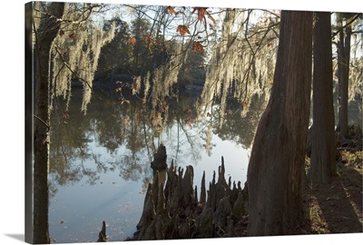 Sam Houston Jones State Park, Lake Charles, Louisiana