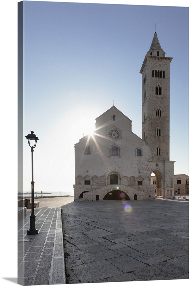 San Nicola Pellegrino cathedral, Piazza del Duomo, Trani, Le Murge, Barletta-Andria-Trani district, Puglia, Italy, Europe