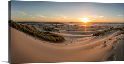 Sand dunes, grass, and driftwood at sunset on the Oregon coast, Oregon