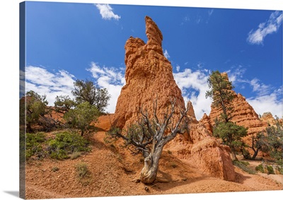 Sandstone Rock Formation In The Dixie National Forest, Utah, USA