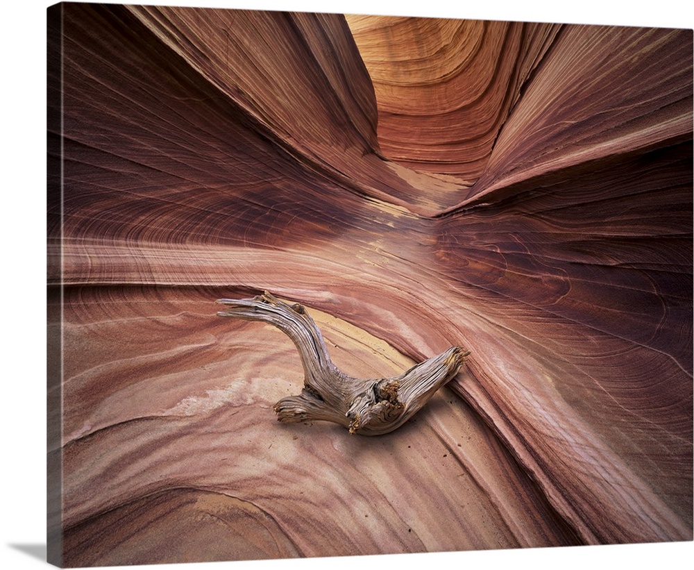 Sandstone wave, Paria Canyon, Vermillion Cliffs Wilderness, Arizona