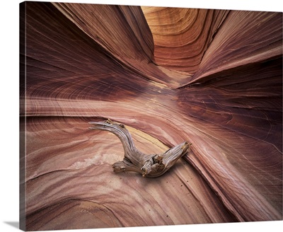 Sandstone wave, Paria Canyon, Vermillion Cliffs Wilderness, Arizona