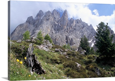 Sassolungo range, 3181m, Val Gardena, Dolomites, Alto Adige, Italy, Europe