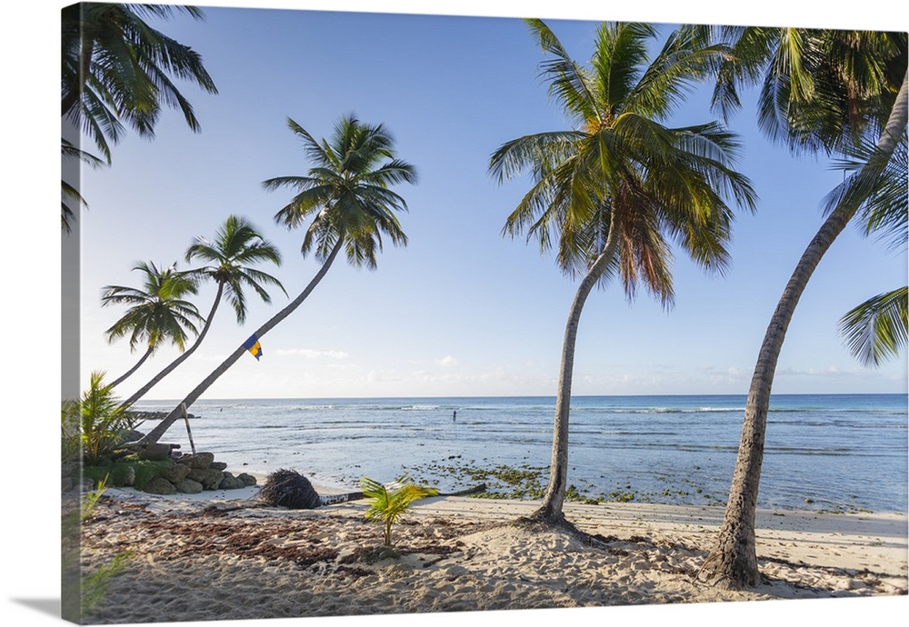 Savannah Beach, Bridgetown, Christ Church, Barbados, West Indies, Caribbean, Central America