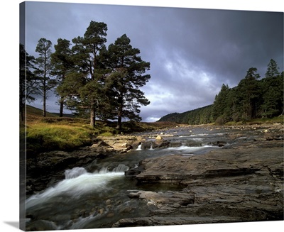 Scots pines and Upper Dee valley near Inverey, Aberdeenshire, Scotland