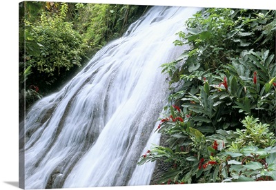 Shaw waterfalls, Ocho Rios, Jamaica, West Indies